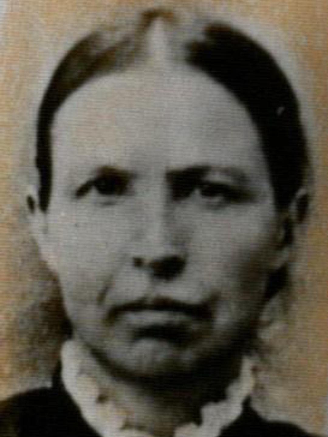 Eliza Arnetta Foster (1841 - 1880) Profile